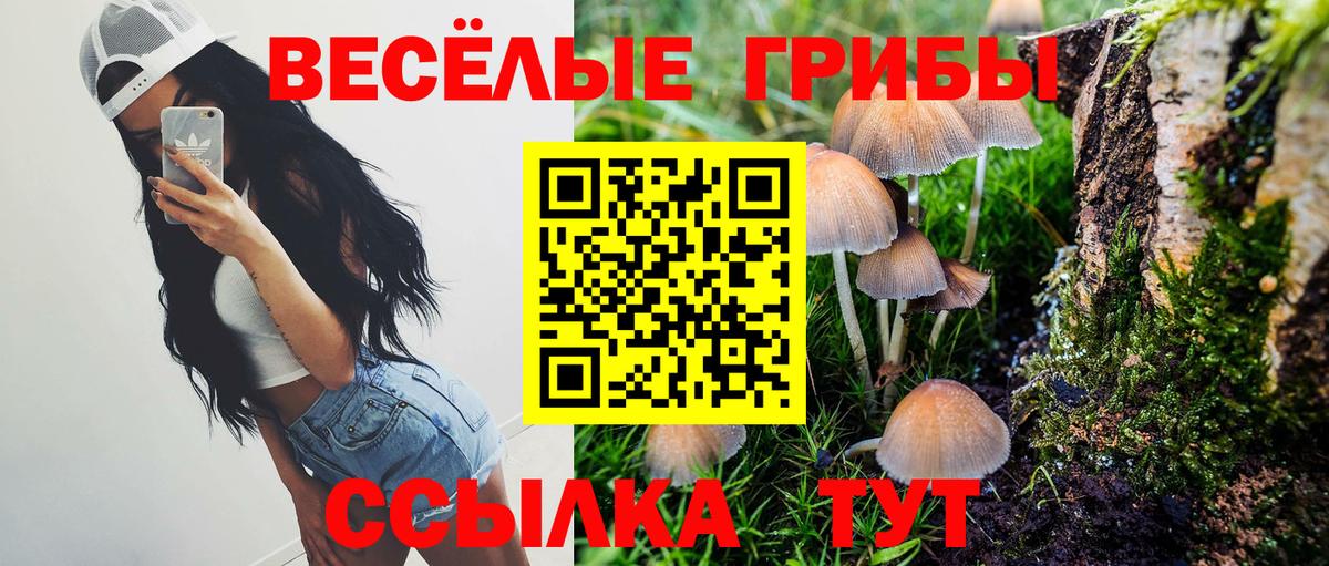 Псилоцибиновые грибы GOLDEN TEACHER  Вход с VPN  Галлюциногенные грибы Magic Shrooms  купить наркоту  Урус-Мартан 